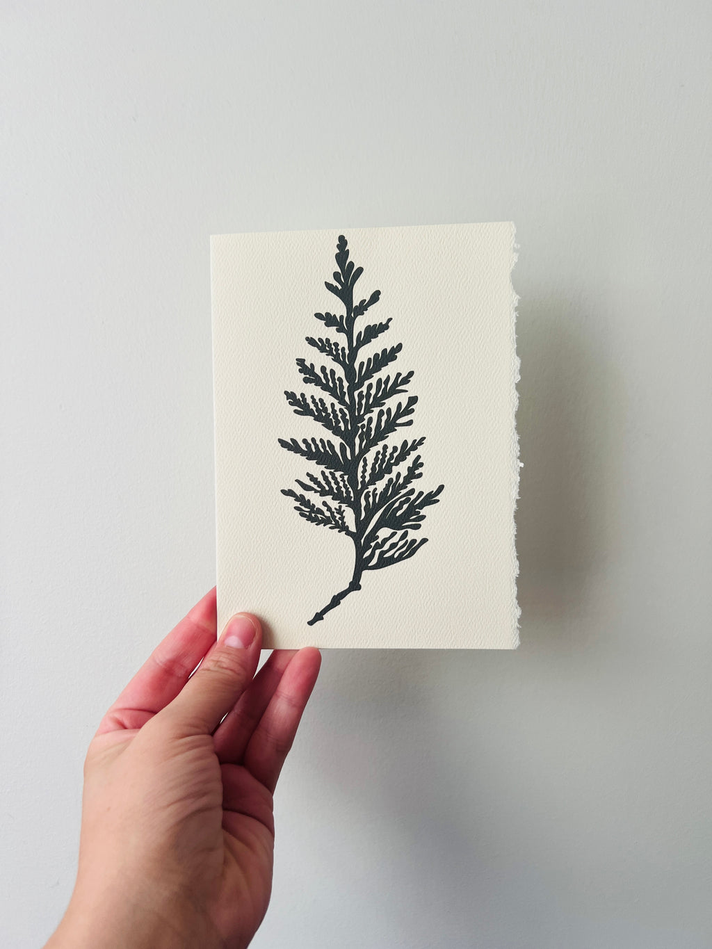 BC Native Plant Cards