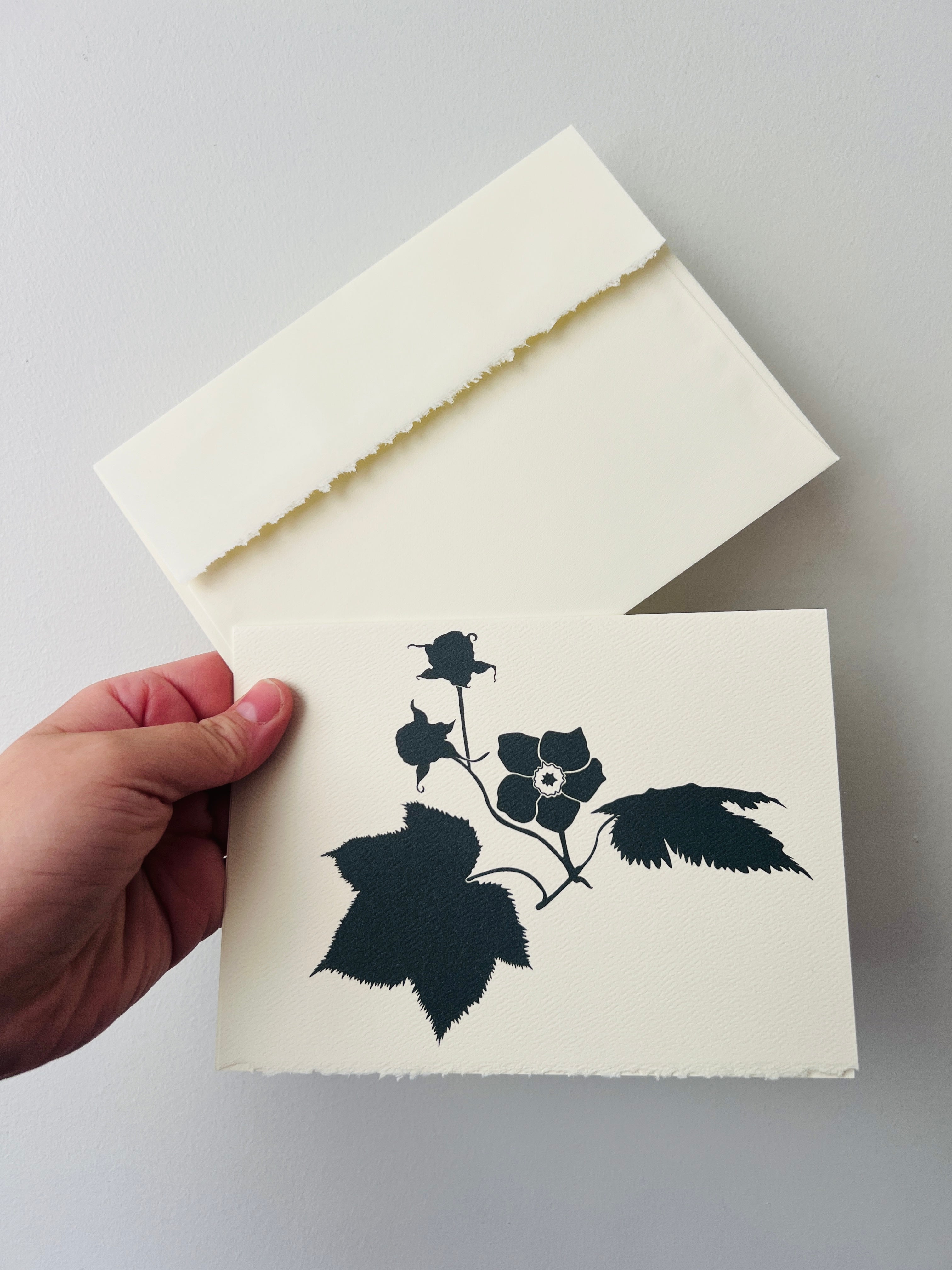 BC Native Plant Cards
