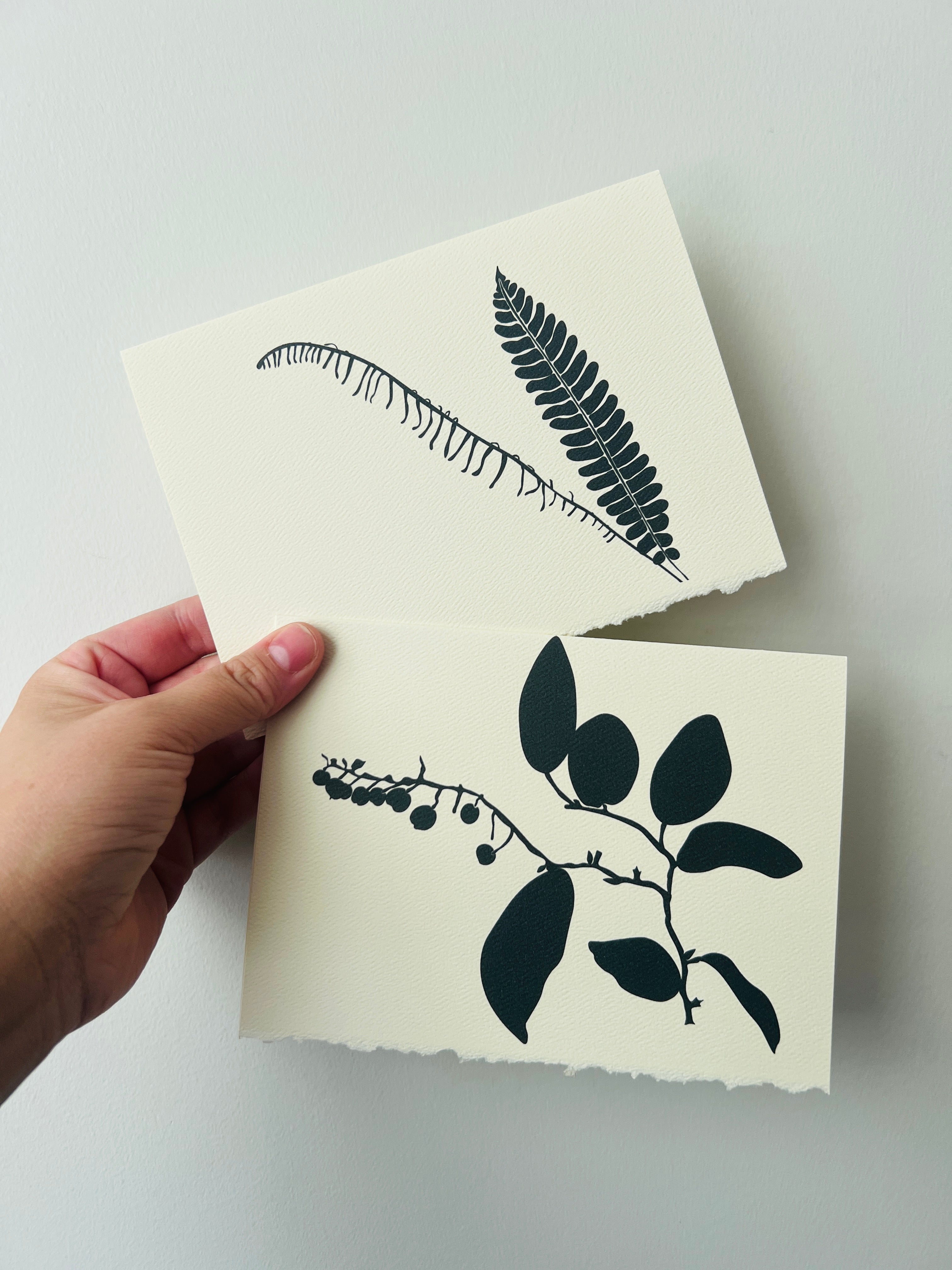 BC Native Plant Cards