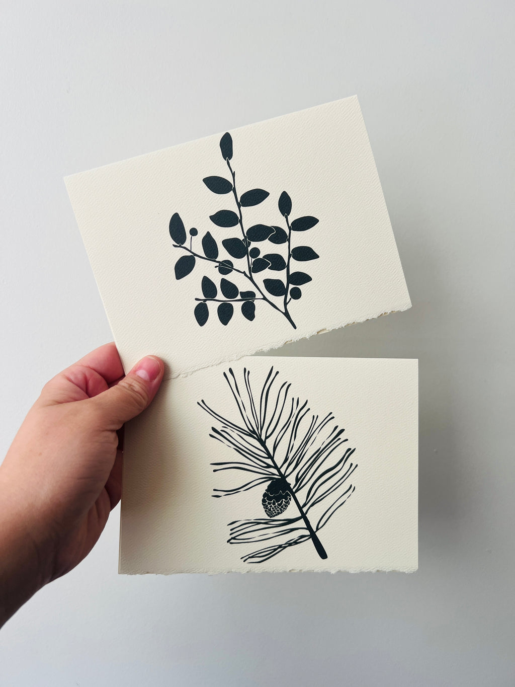 BC Native Plant Cards