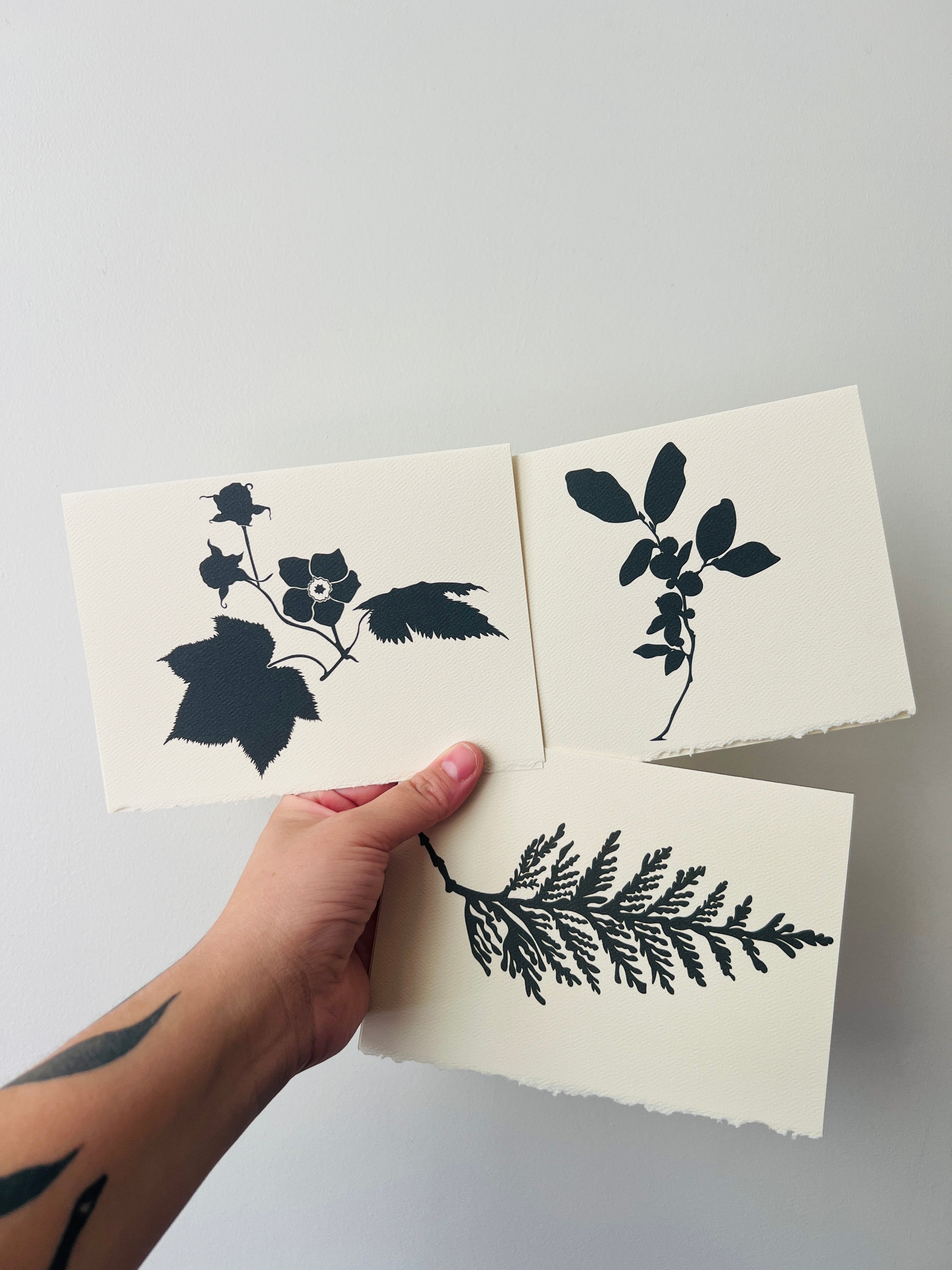 BC Native Plant Cards