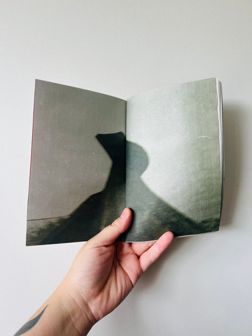 spiral in, a poetry collection by robyn adams