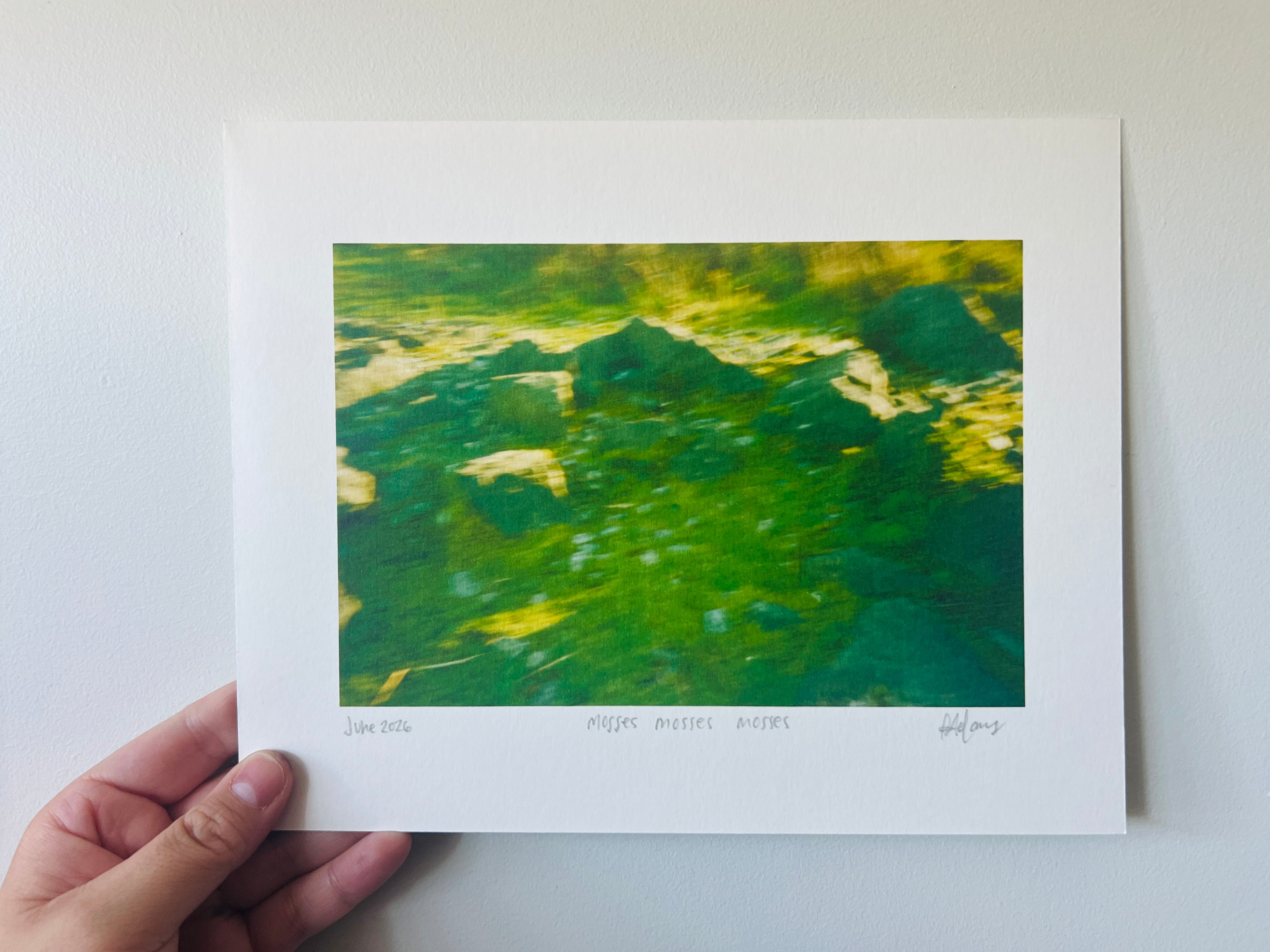 mosses mosses mosses (2026), 8x10in print