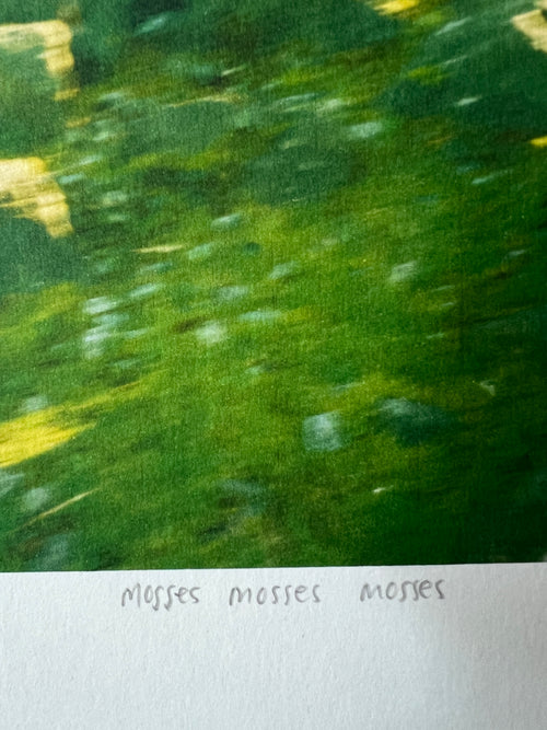 mosses mosses mosses (2026), 8x10in print